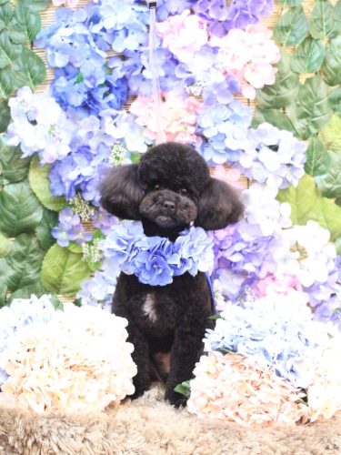 20250605コアくん